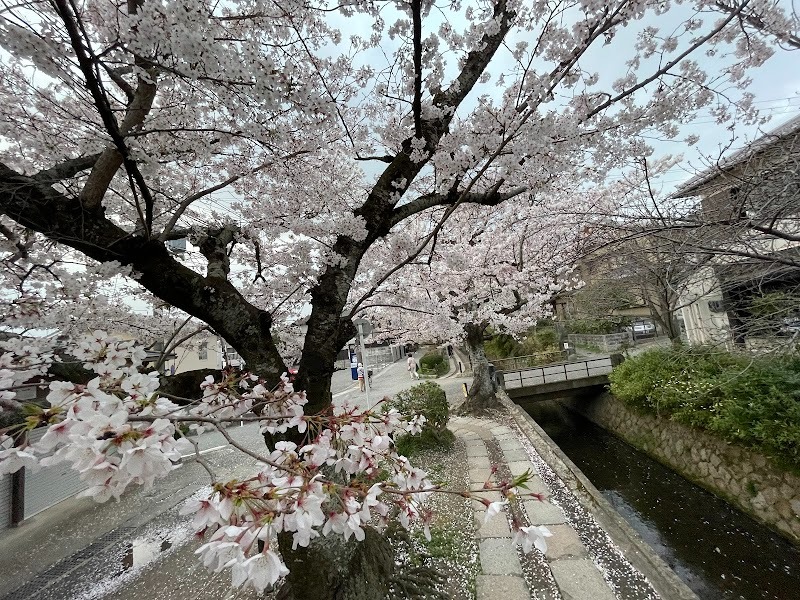 Philosopher's Path