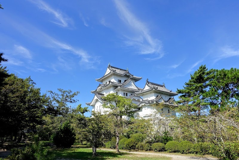 Iga Ueno Castle