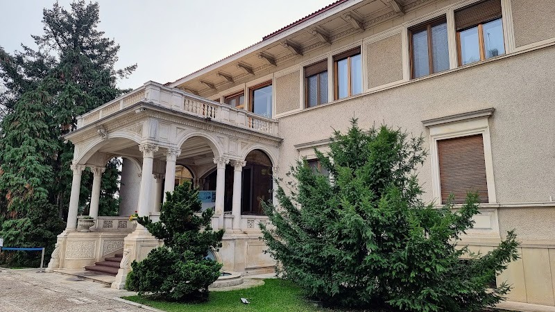 "Ceaușescu" House
