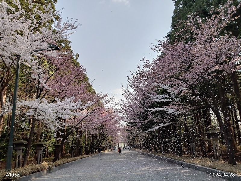 Maruyama Park