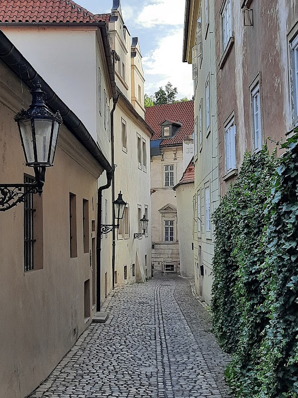 Thunovská